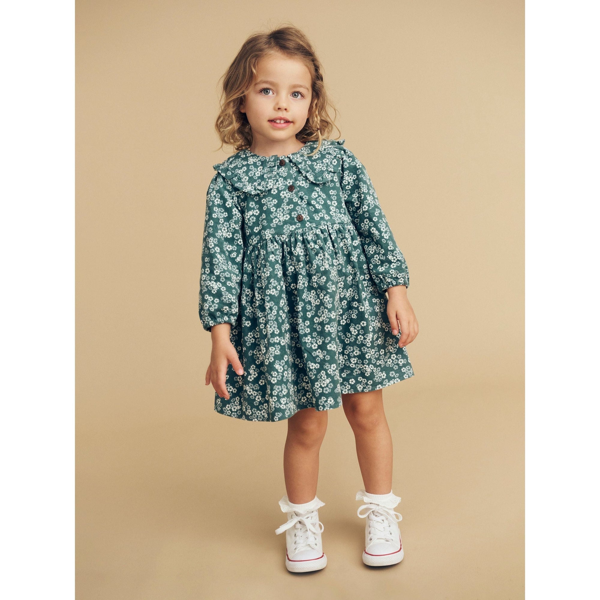 Peek A Boo Bunny Collar Dress