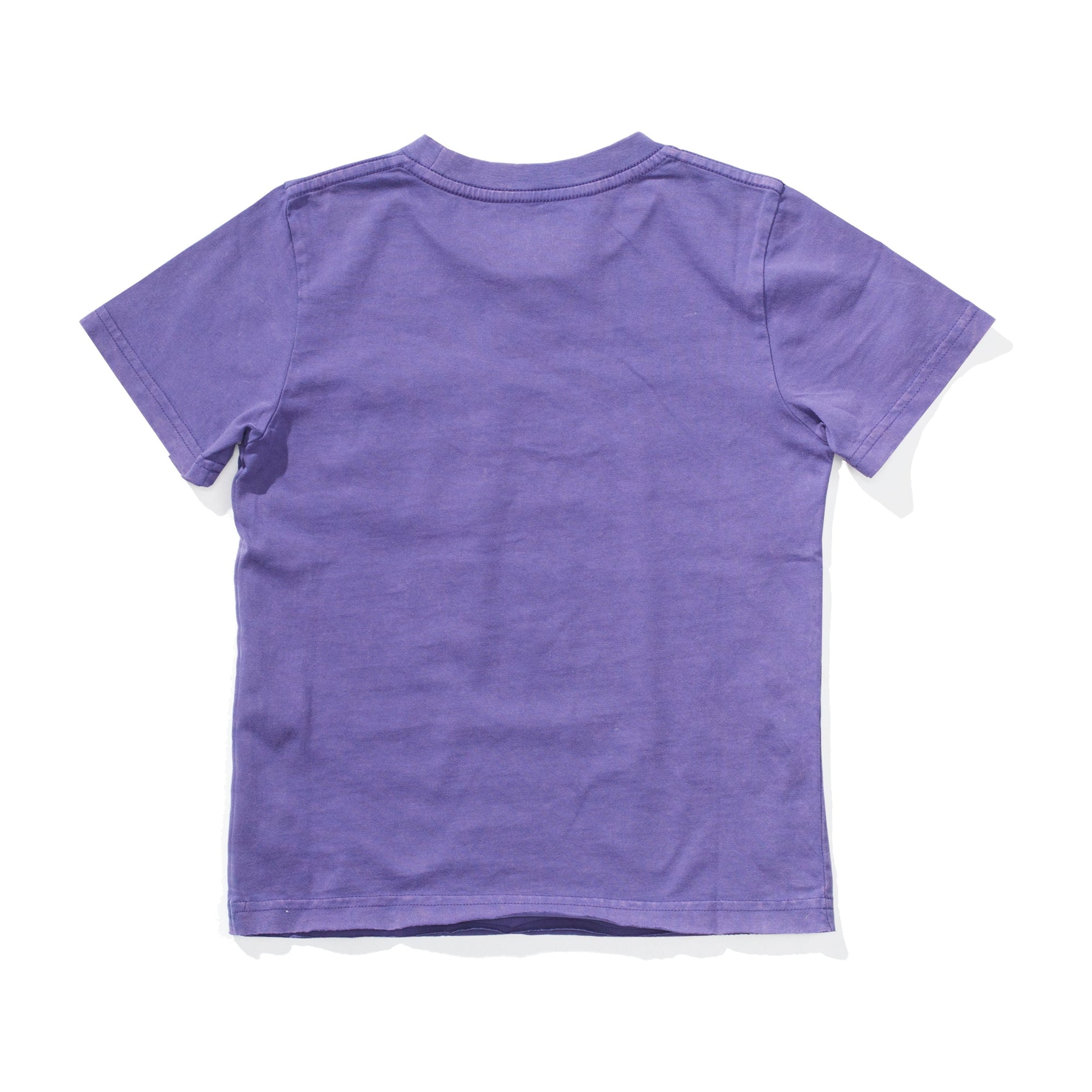 Dream Pkt Ss Tee - Mineral Purple