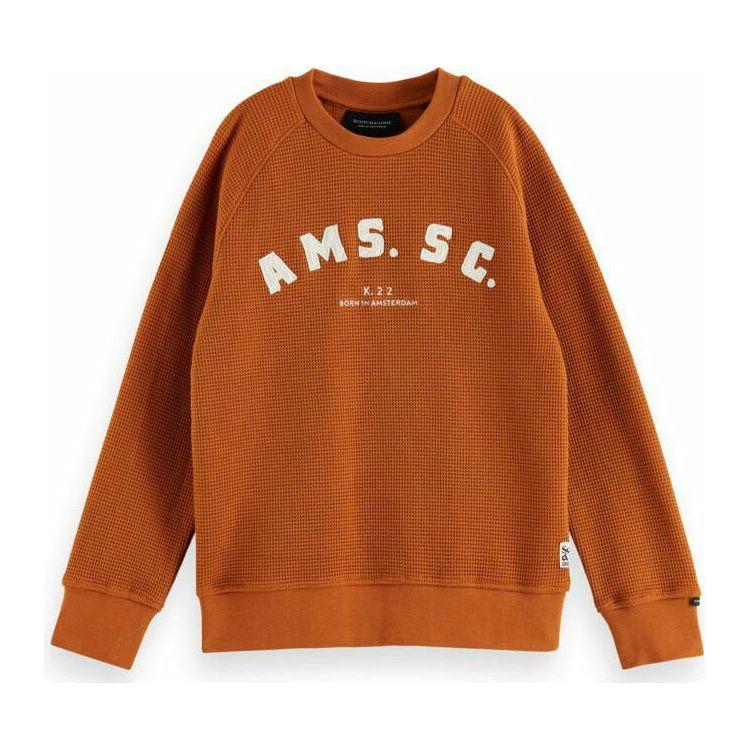 Embroidered-Artwork Waffle Sweatshirt - Warm Rust